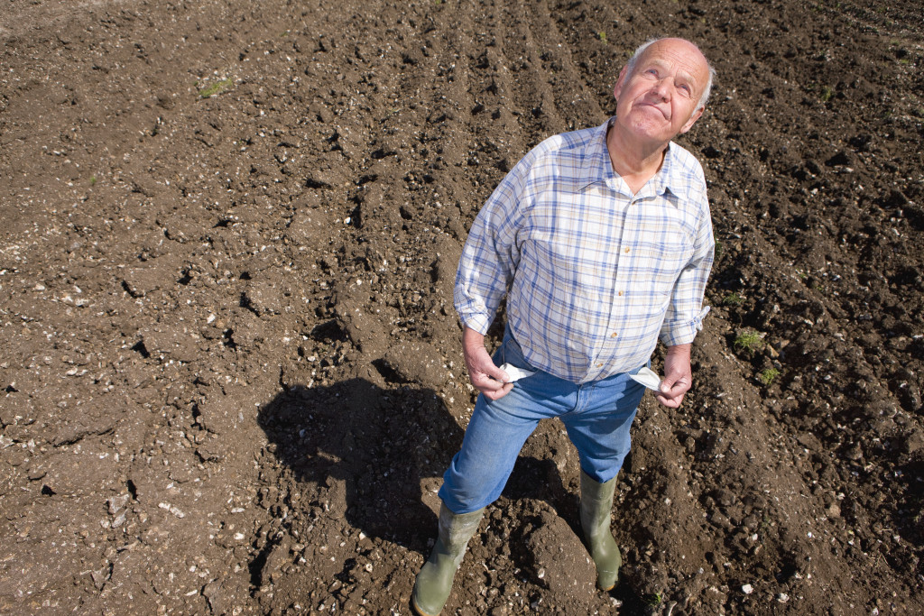 farmer on a field